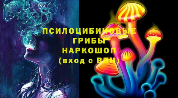 ALPHA PVP Елизово