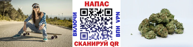 Марихуана план  Купить закладки  Ужур 